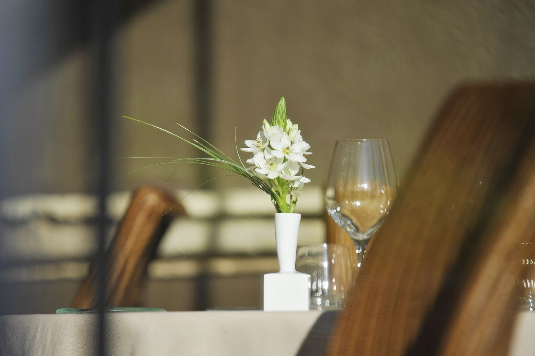 Una mesa de comedor con un jarrón blanco lleno de flores blancas y una copa de vino.