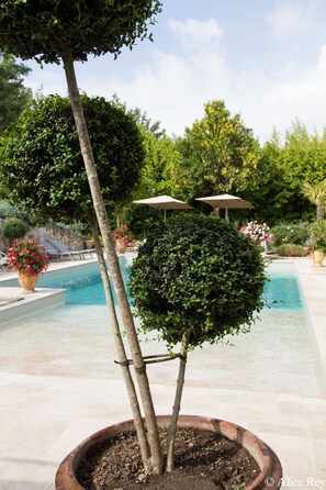 Terrace/patio - Le Domaine de Méjeans (Alleins)