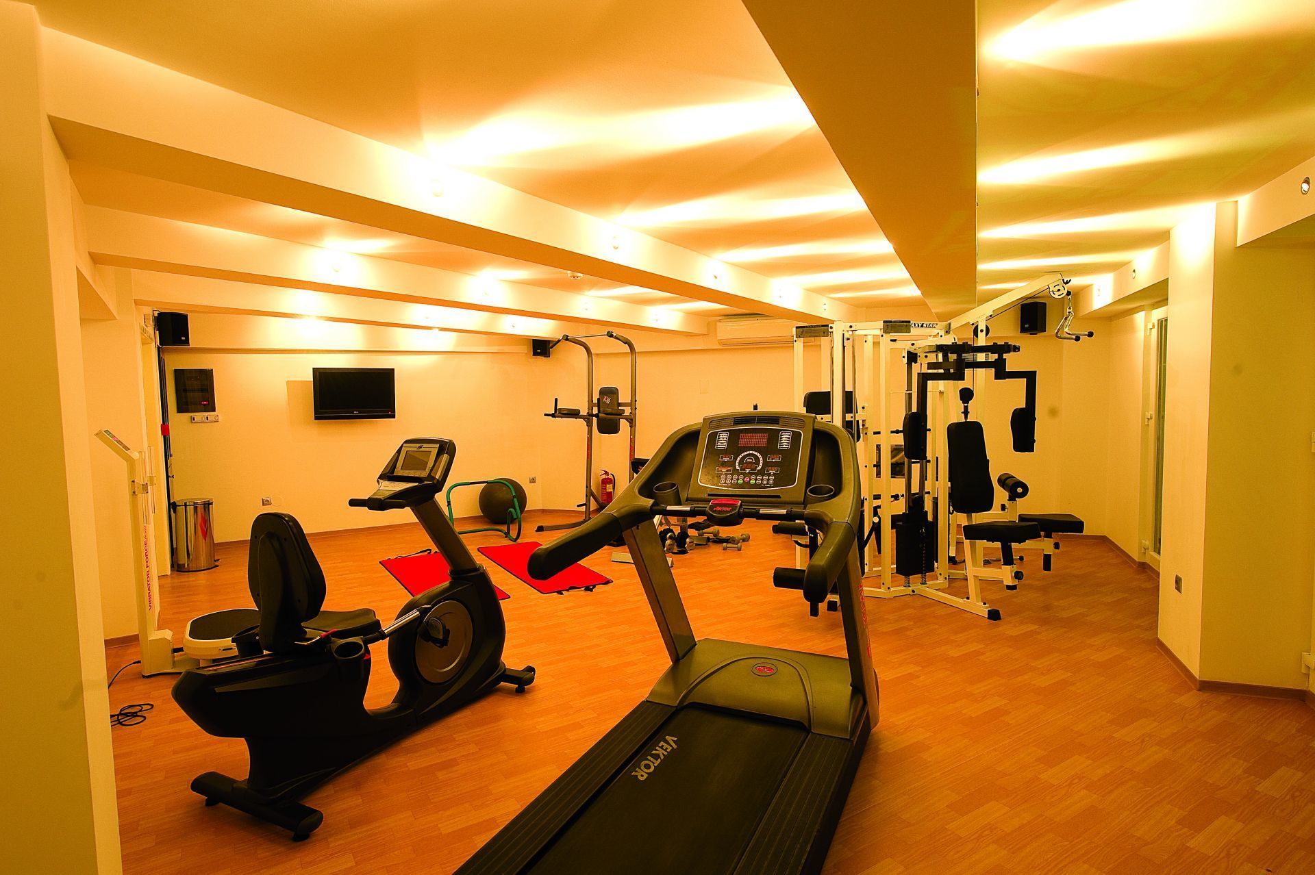 Gimnasium