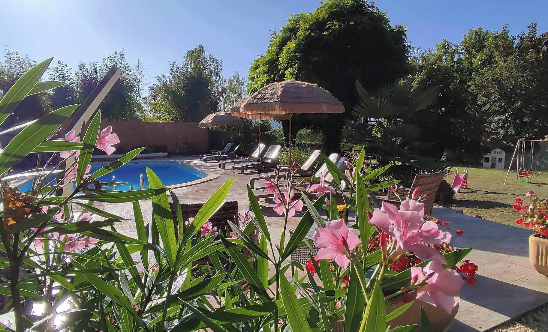 A pool area with lounge chairs, a thatched umbrella, and tropical plants.