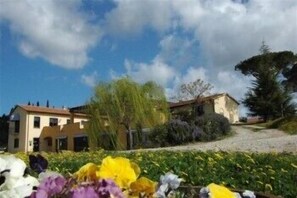 Property grounds - Bulichella (Suvereto)