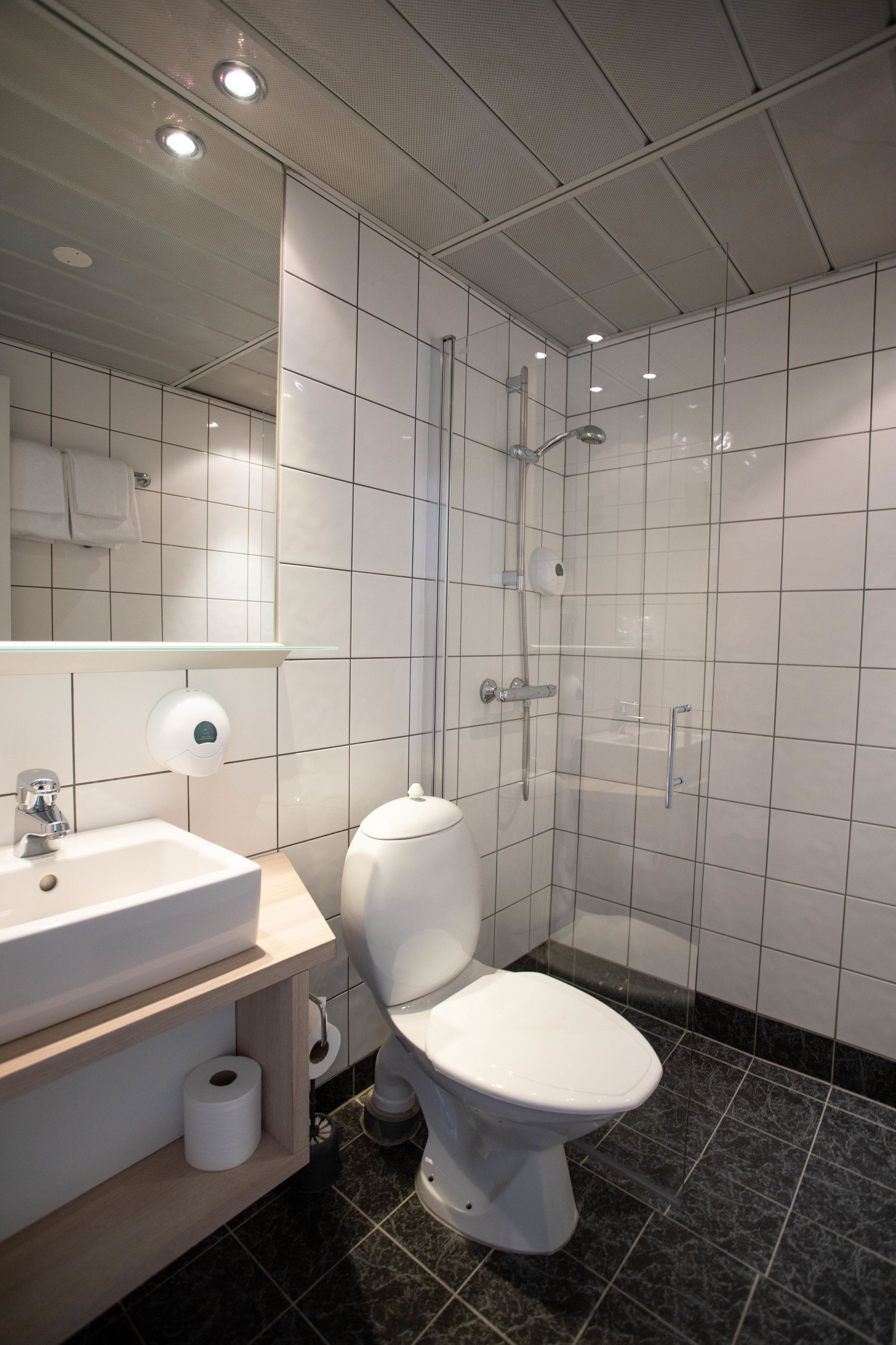 standard double room | bathroom shower