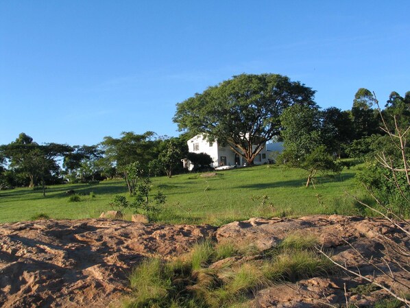 Property grounds