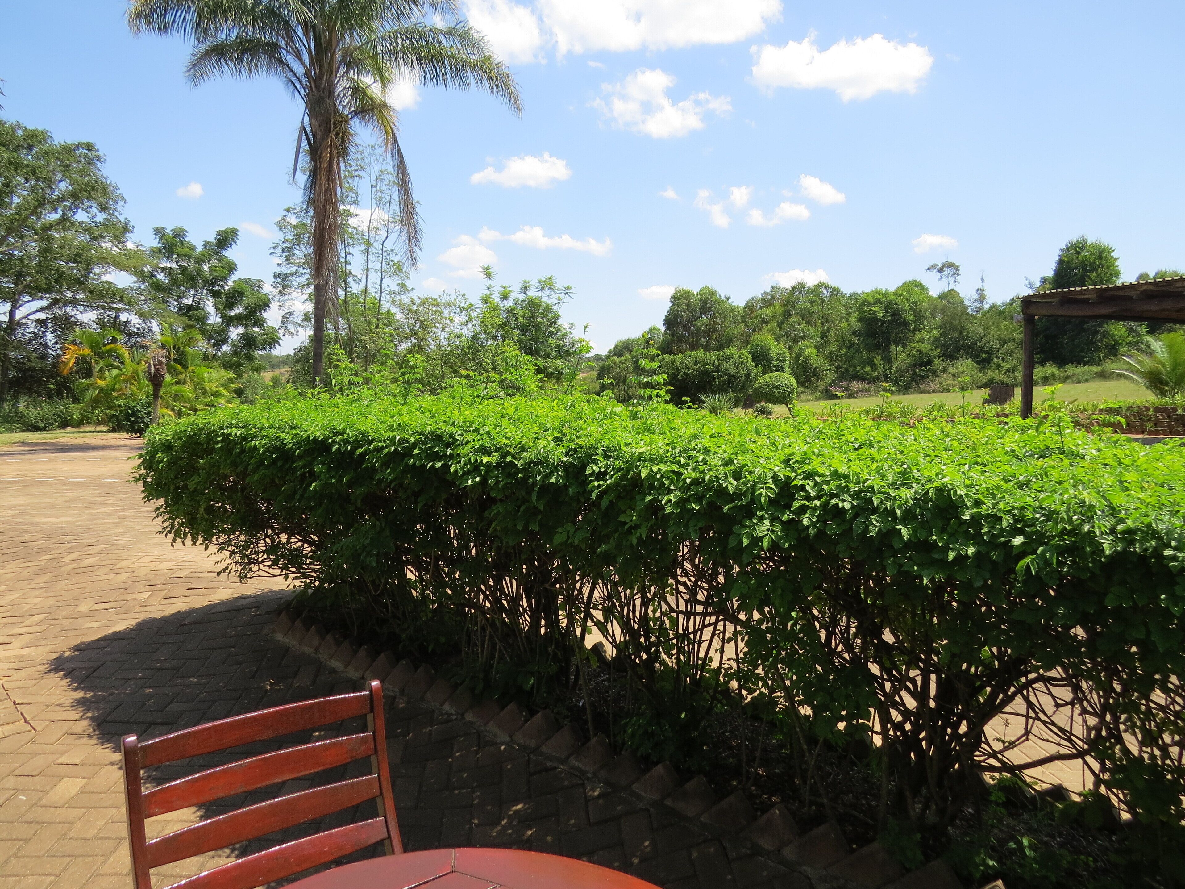 A paved pathway leading to a seating area with a bench and a table.
