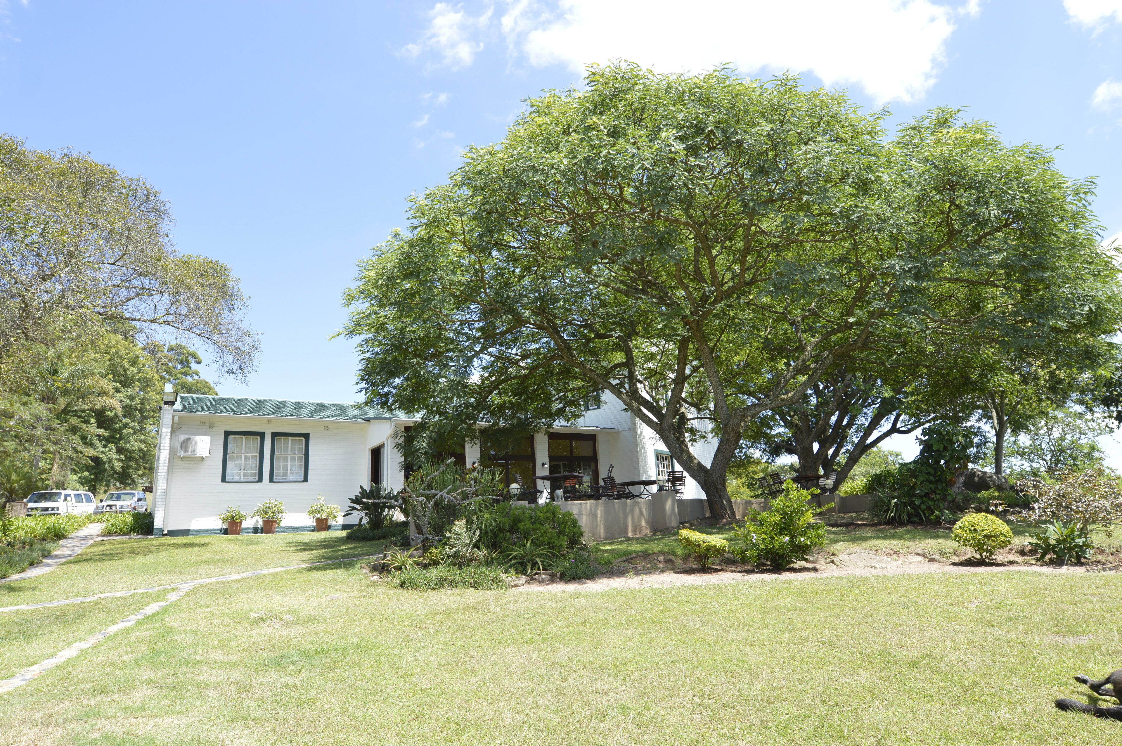 A white house with a green roof, surrounded by a well-maintained lawn and several trees.