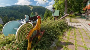 Unclassified image, 2 of 72, button - Pod Jasany (Spindleruv Mlyn)