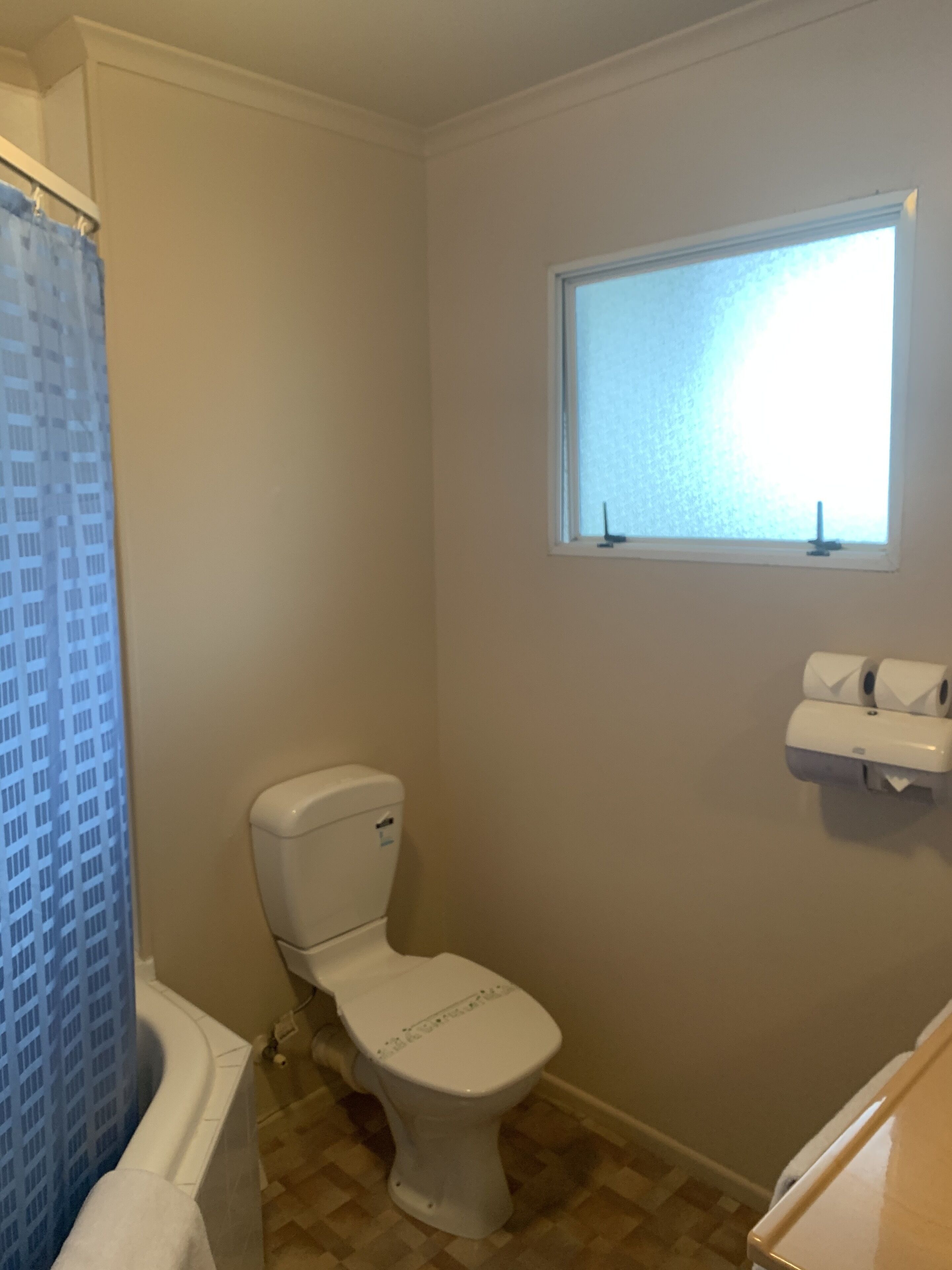 A bathroom with a toilet, a window, and a shower curtain.