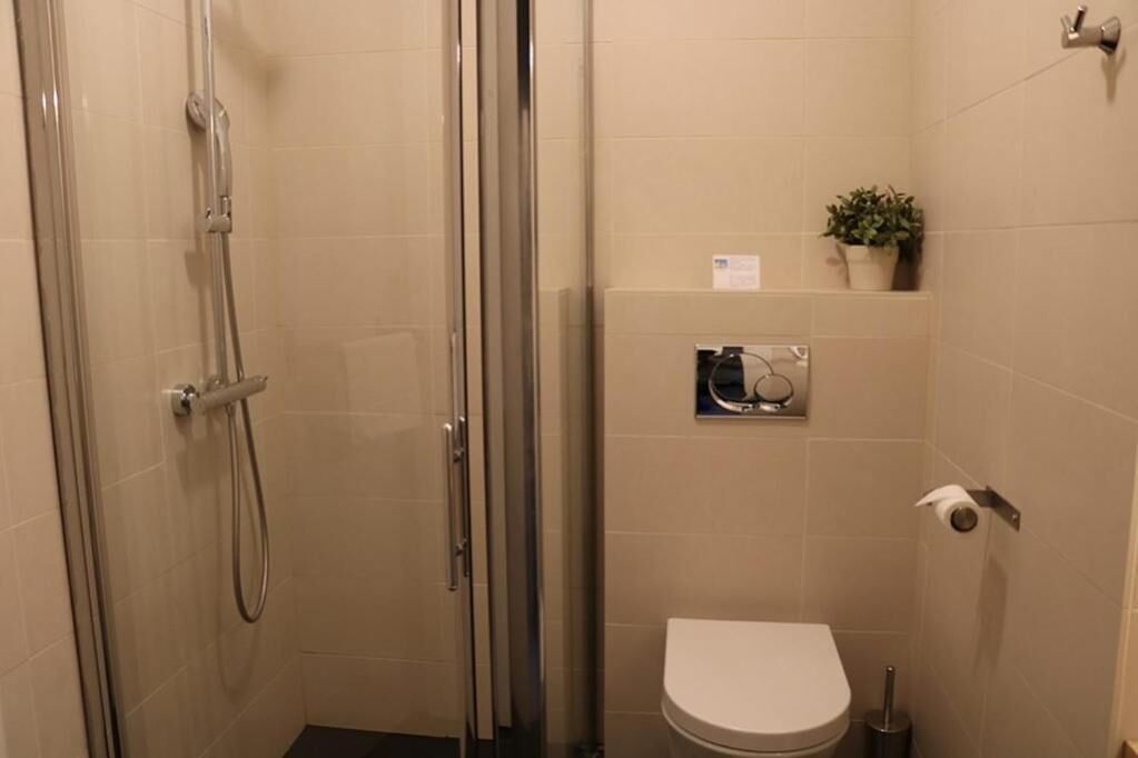 A compact bathroom with a shower, toilet, and a small shelf with a plant.