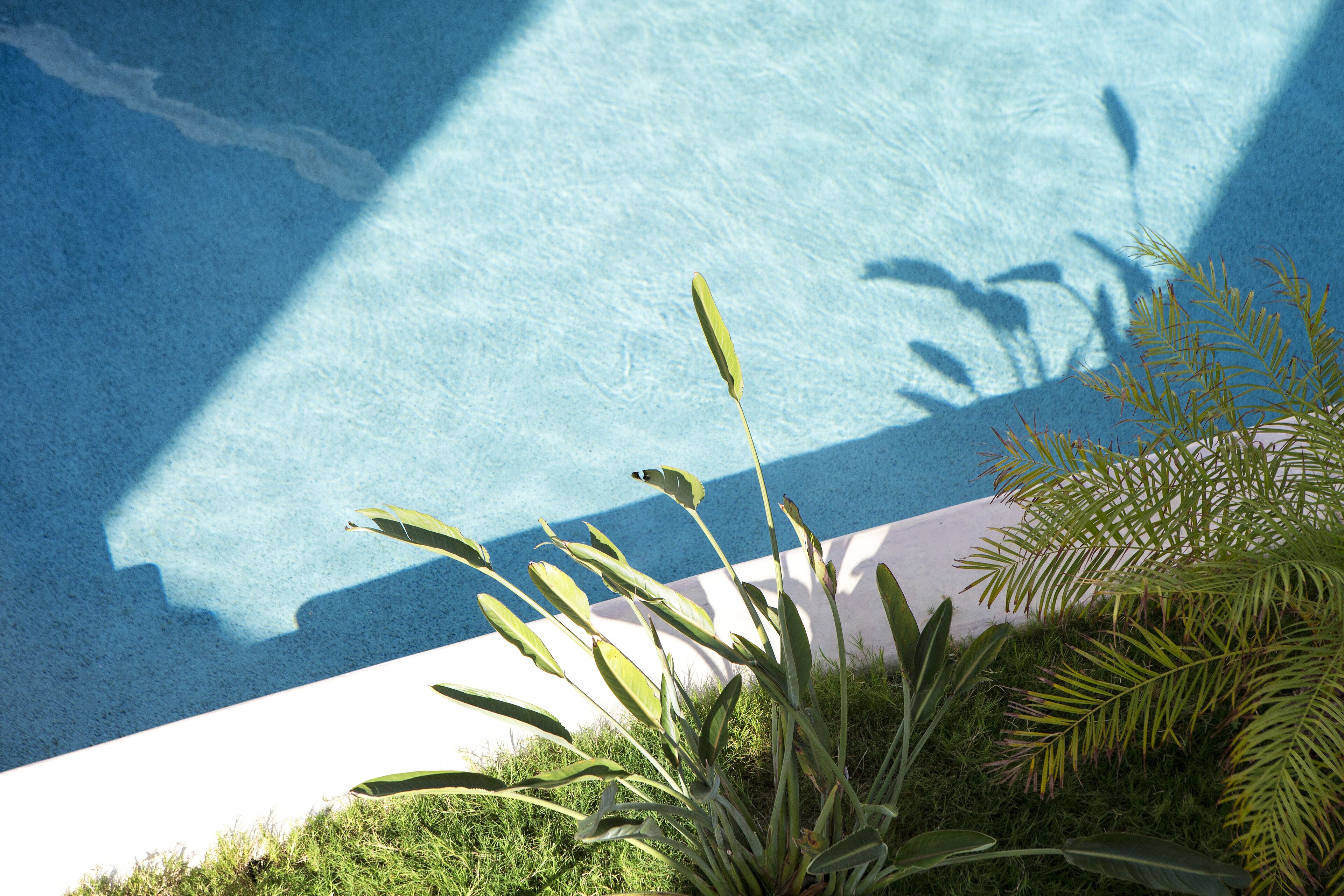 A swimming pool with surrounding greenery and a shadow cast on the pool.