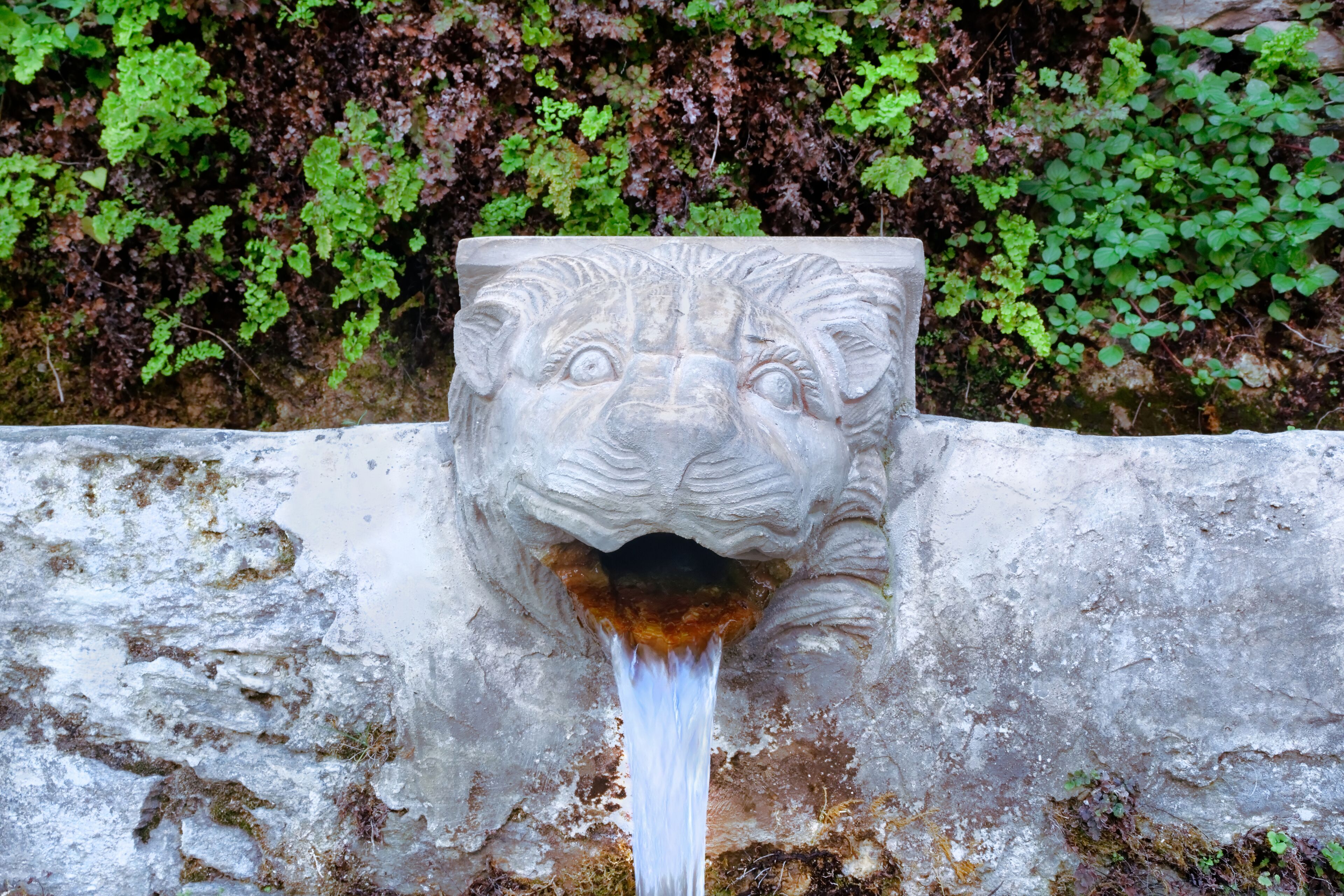A stone fountain with a lion's face, surrounded by greenery.