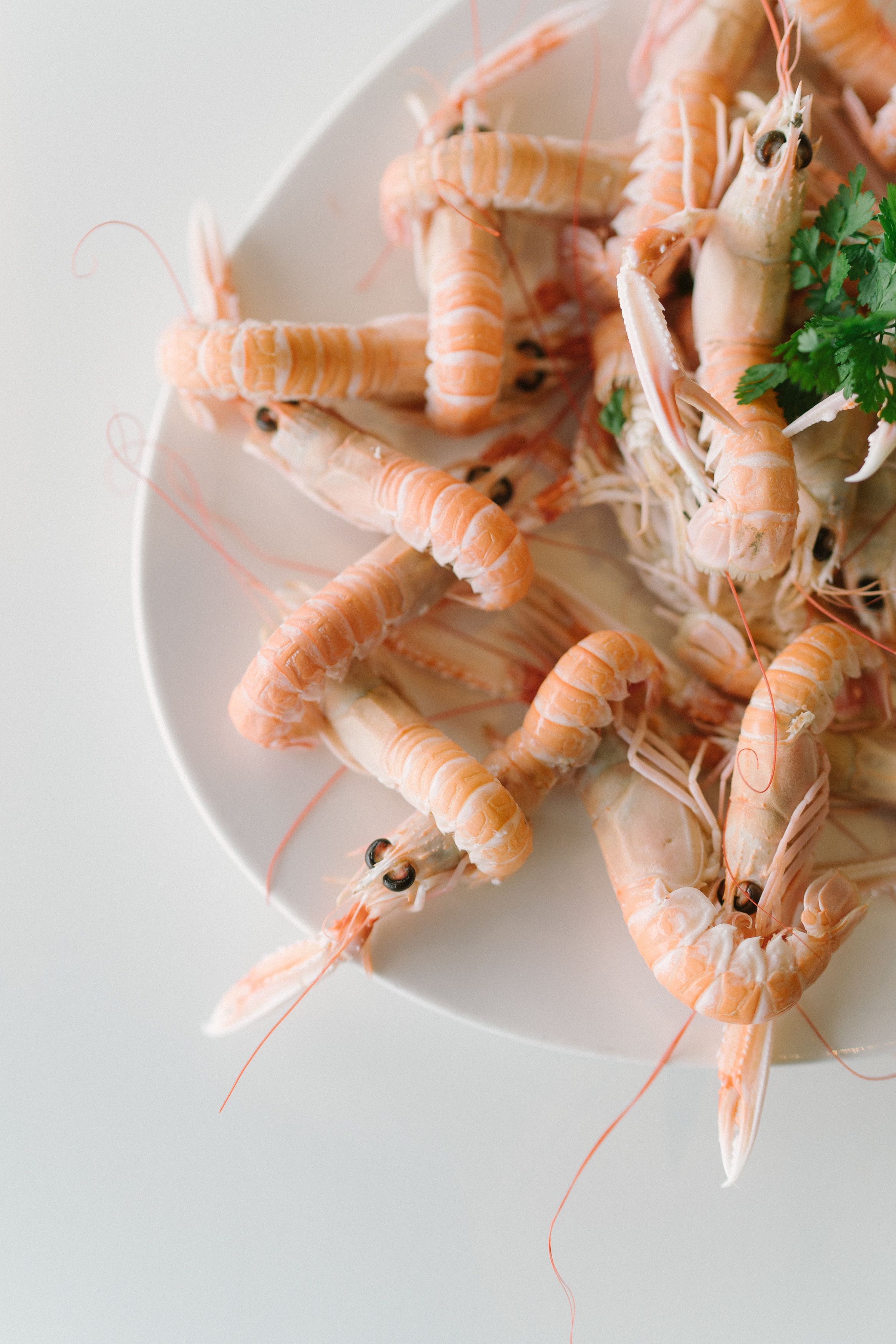 Un plato de camarones cocidos con adorno de perejil.
