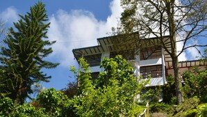 A staircase leading to a building with a sloped roof, surrounded by greenery and trees.