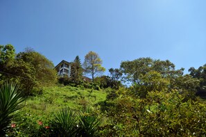 View from property - Eco Lodge La Juanita (Manizales)