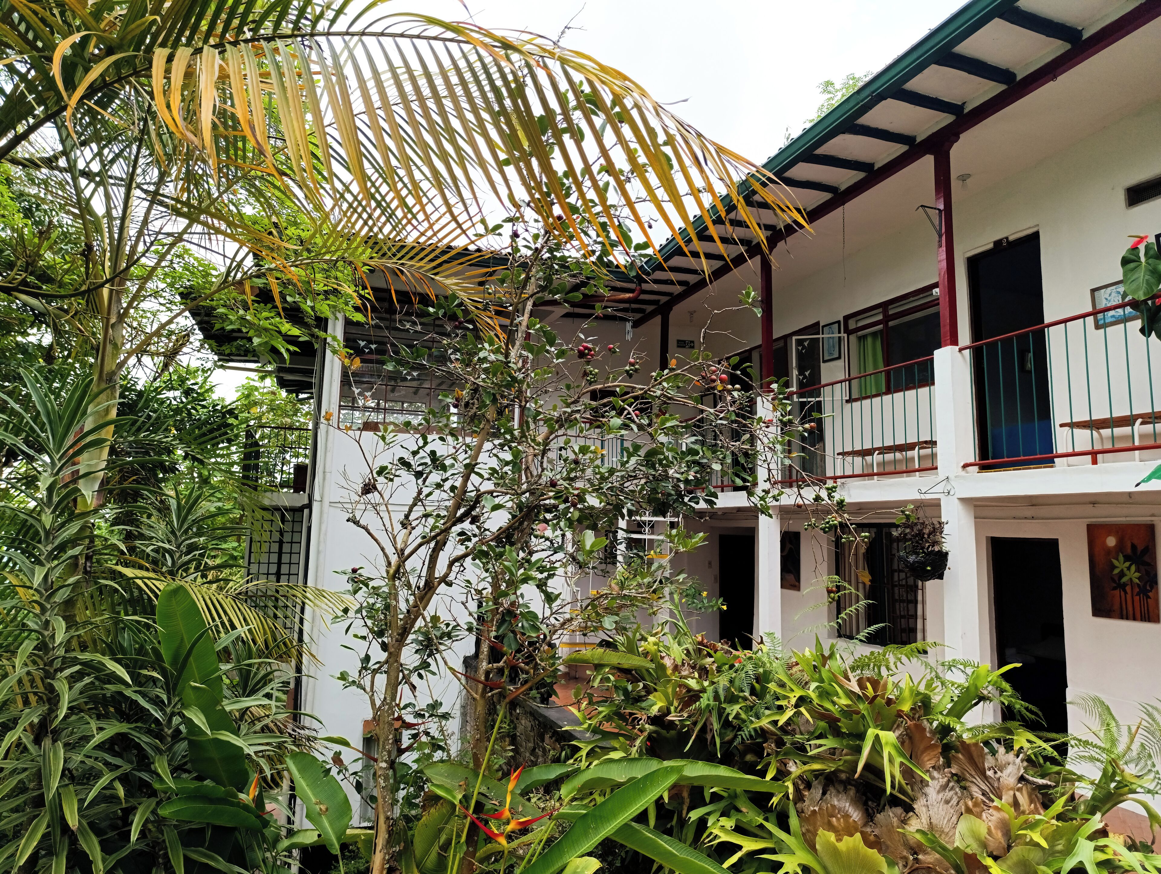 Foto - Eco Lodge La Juanita