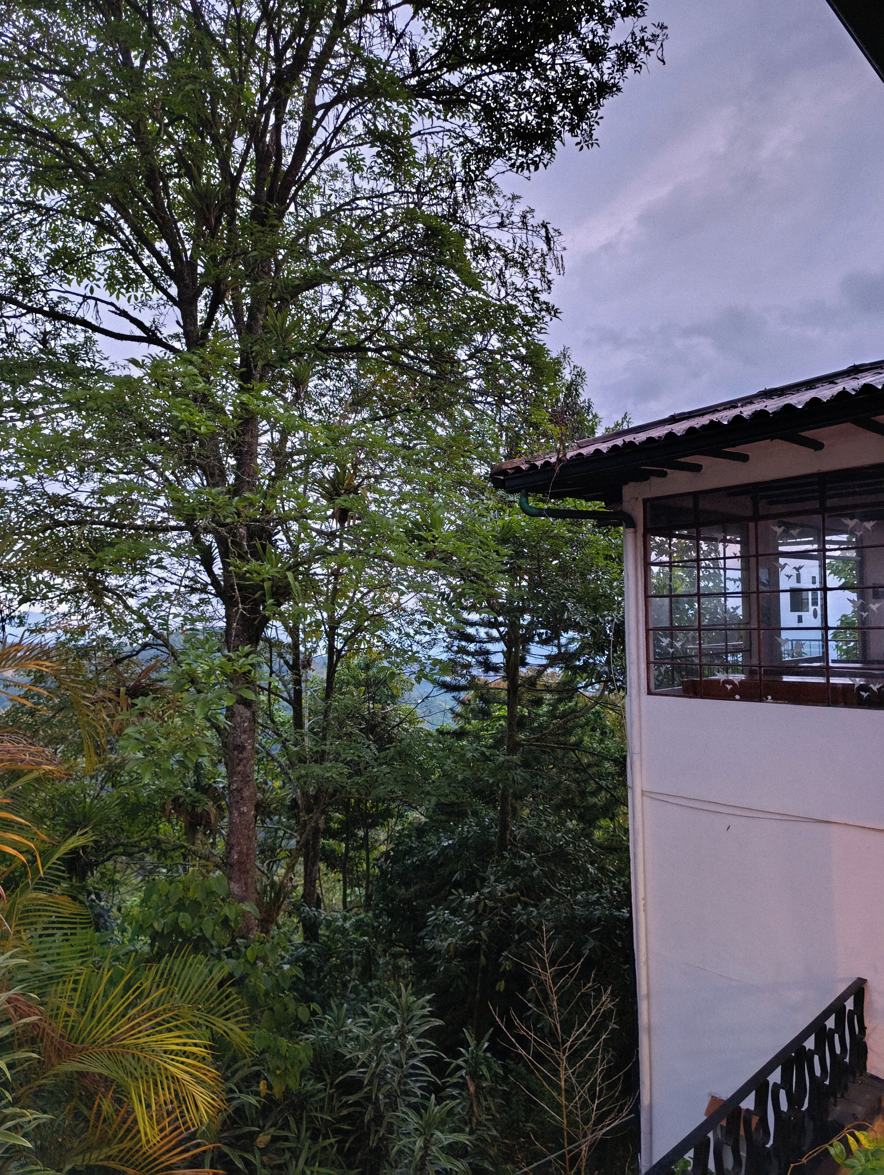 Foto - Eco Lodge La Juanita