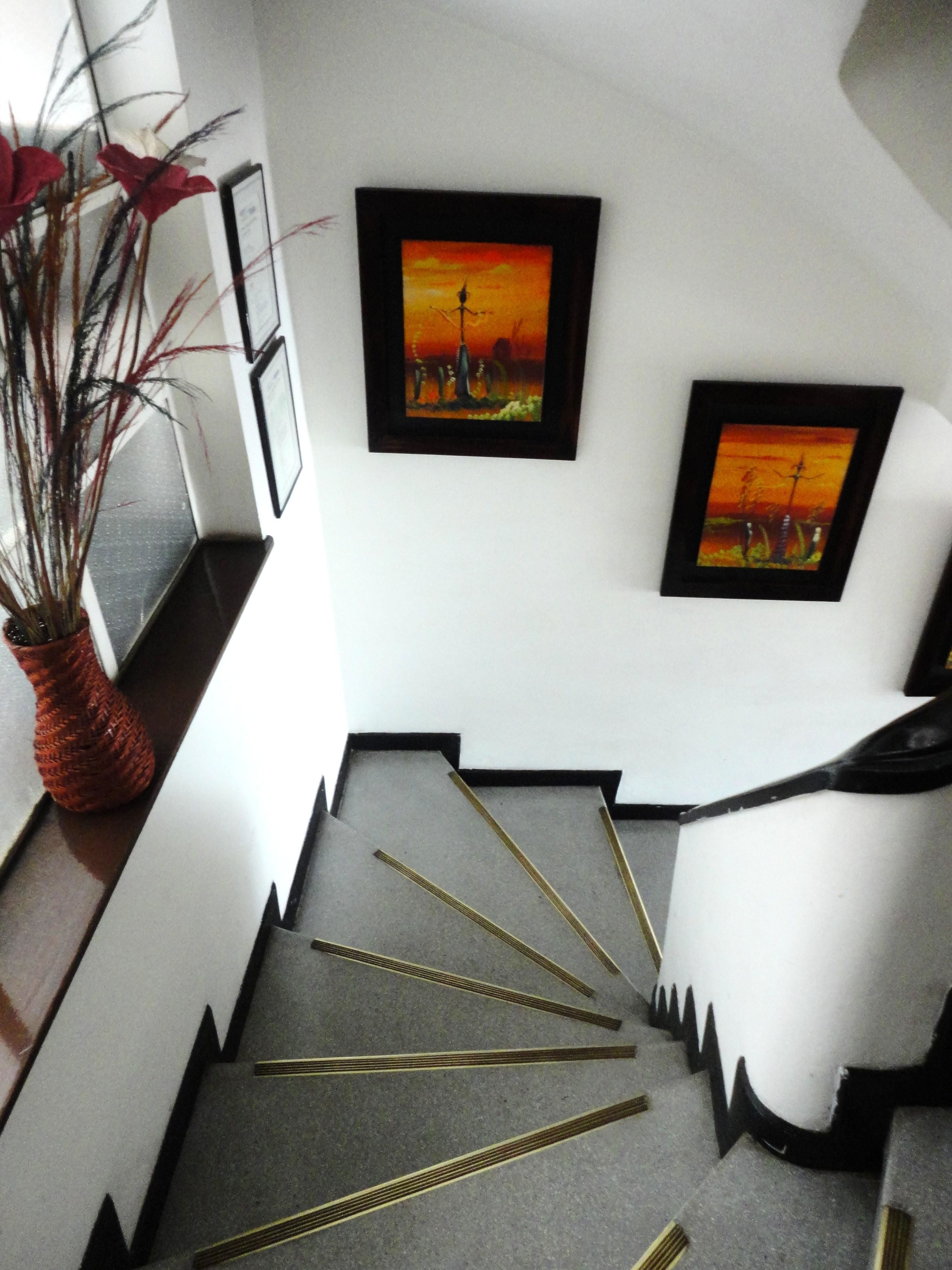 Foto - Hotel Casa Paulina