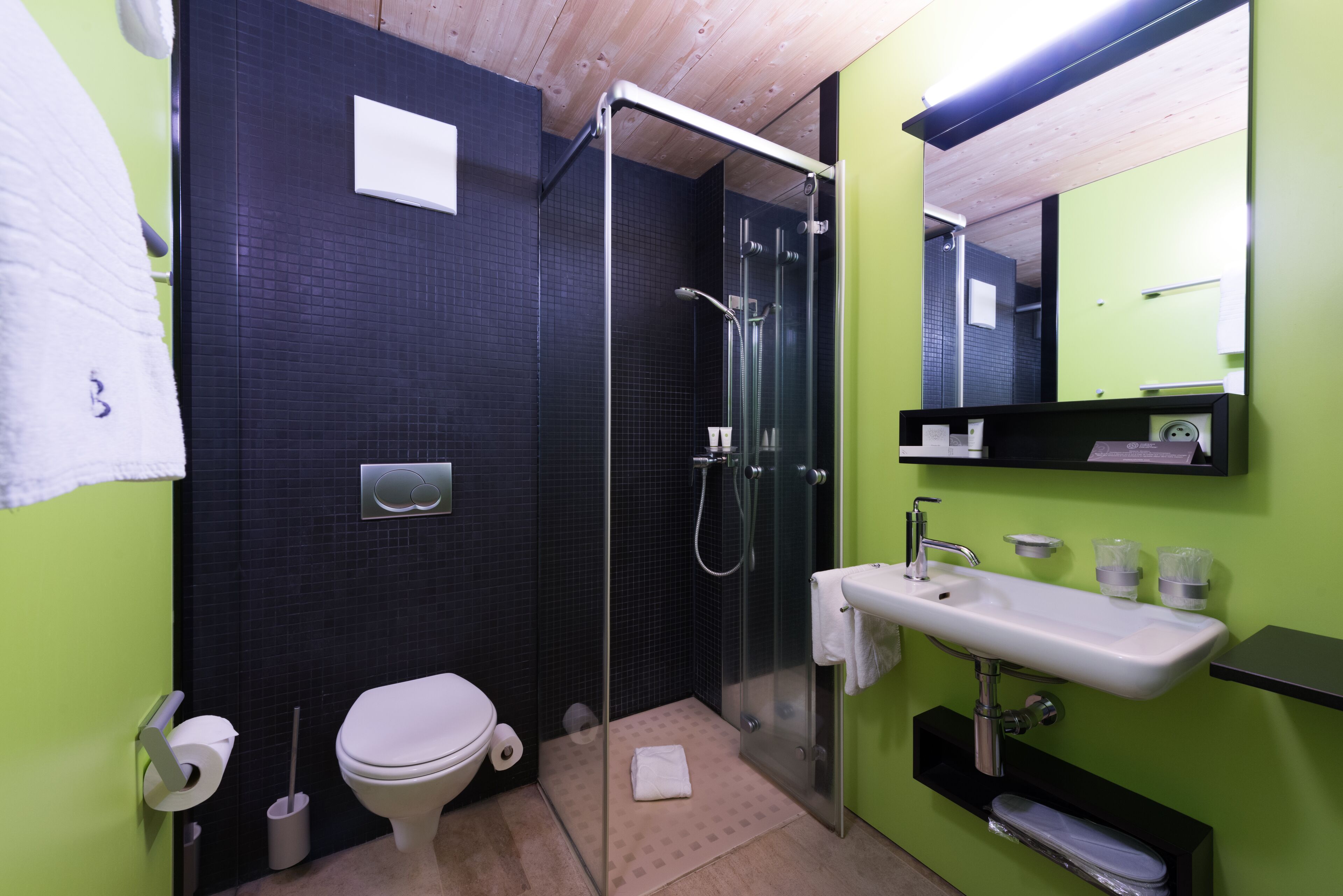 A modern bathroom with a glass-enclosed shower, a white sink, and a toilet.