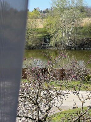 A view of a river with trees and a wooden fence in the foreground. - Aqua Therm Hotel (Zalakaros)