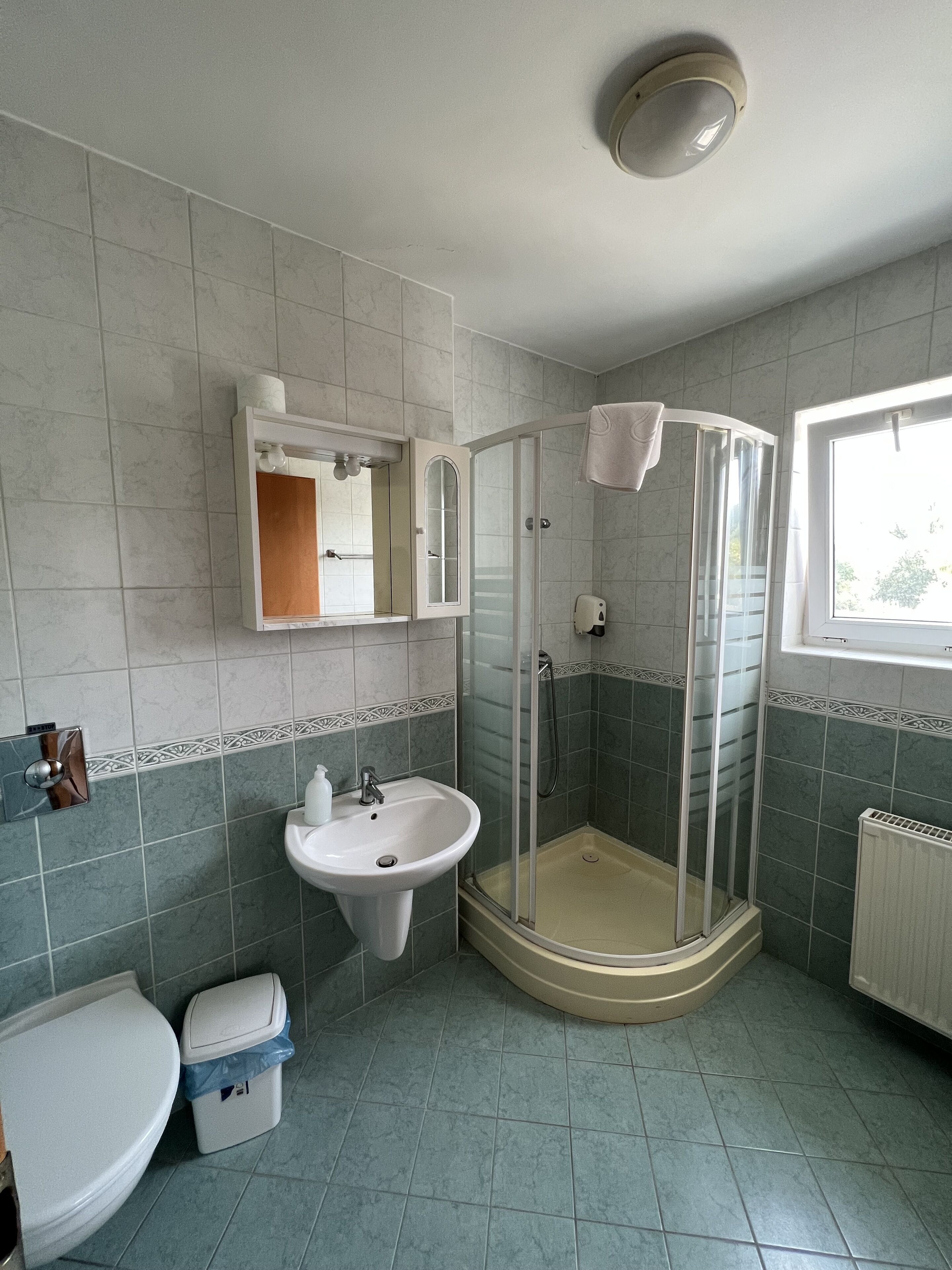 A bathroom with a toilet, sink, and shower.