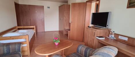 A compact room with a bed, a sofa, a small table with a plant, a TV, and a desk with a computer and water bottles.