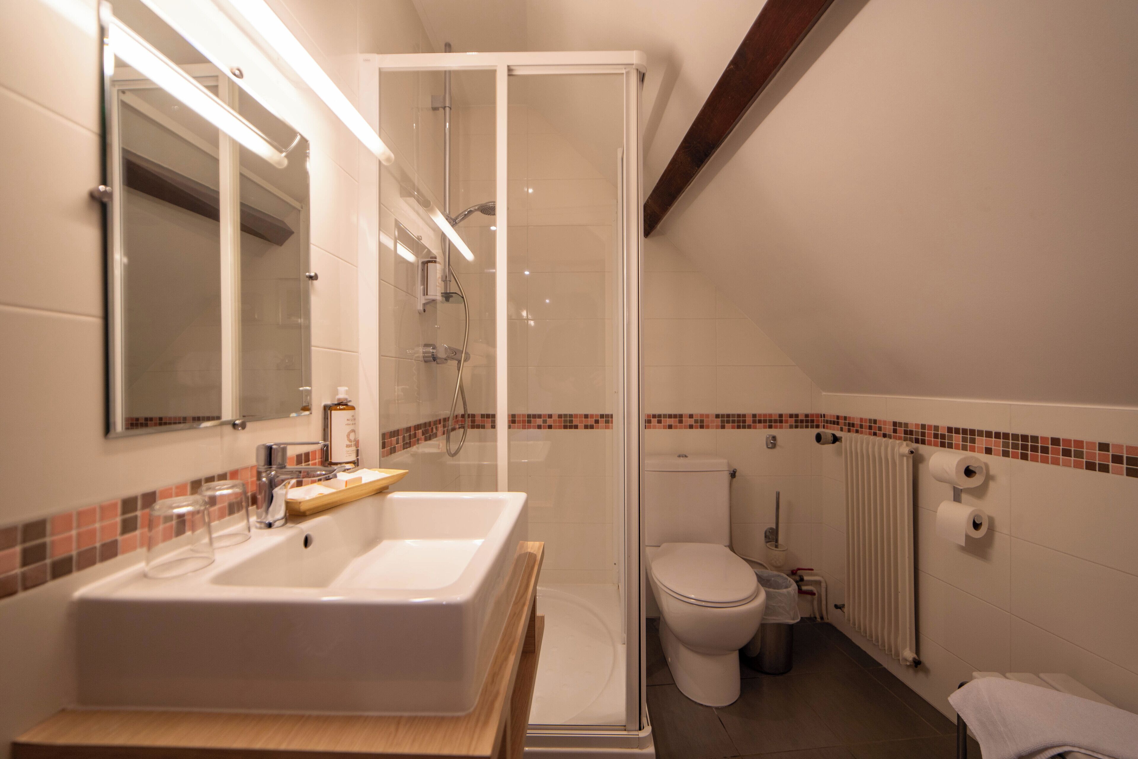double room, 1 queen bed (privilege) | bathroom | shower, free toiletries, hair dryer, towels