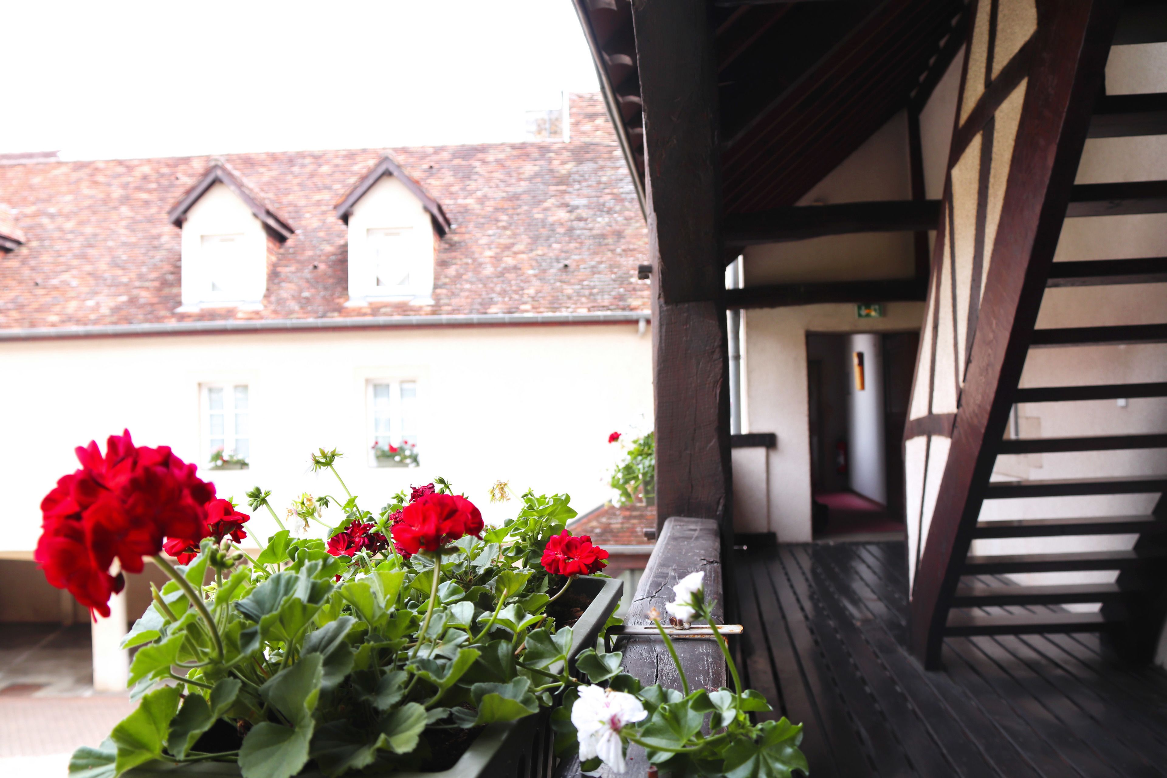 superior double room | courtyard view