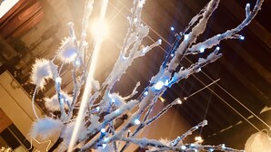 Un lustre à plusieurs branches et à plusieurs sources lumineuses.
