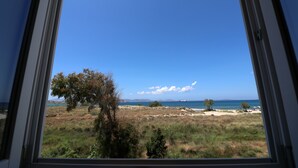 Vista a través de una ventana que muestra un campo cubierto de hierba, árboles, una playa y el mar.