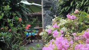 Un jardín con diversas plantas y flores, una silla de madera y una mesa con un paraguas azul.