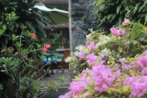 Jardín