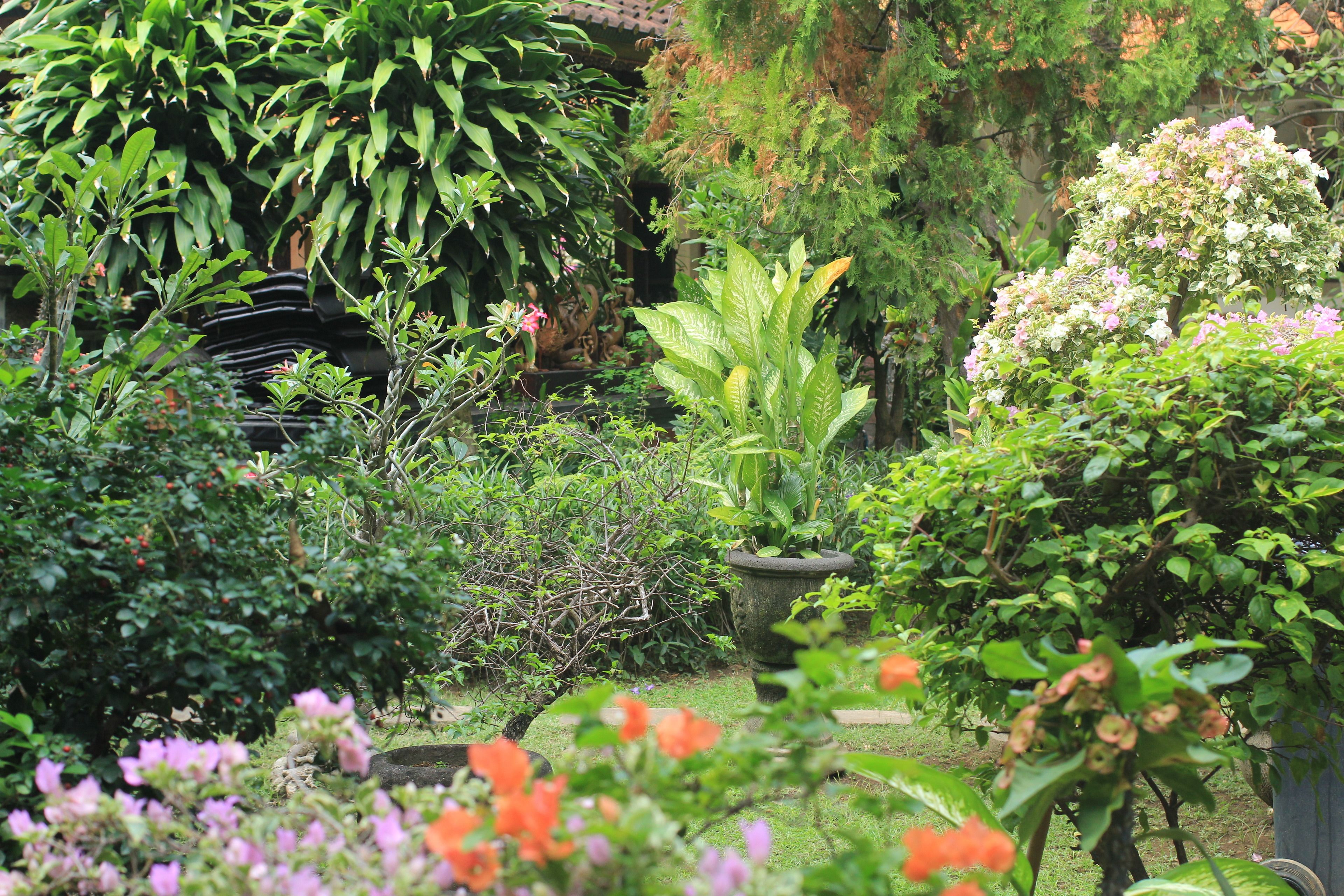 Foto - Bakung Sari Resort