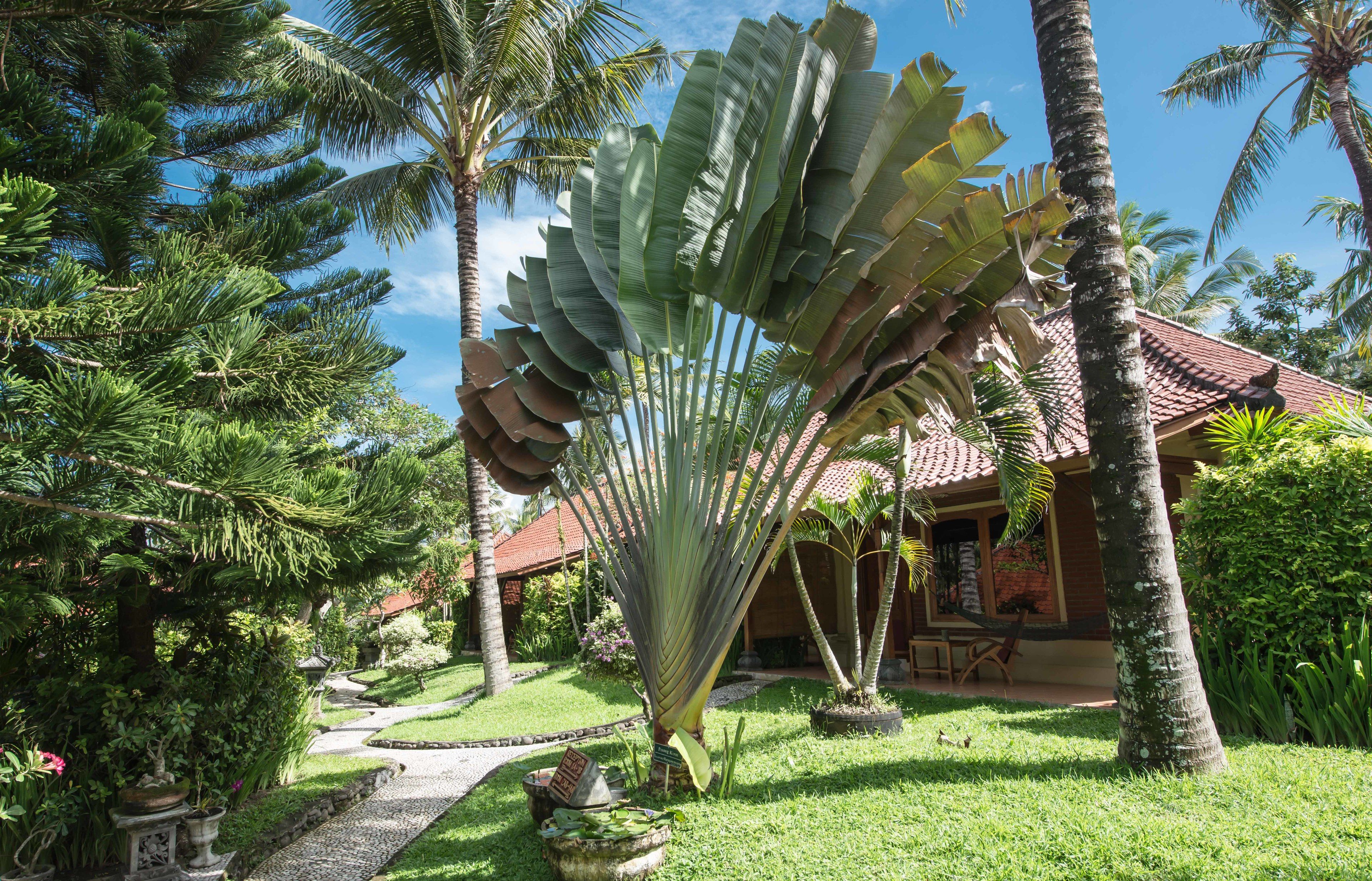 Diseño del edificio
