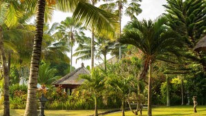 A tropical garden with palm trees, a thatched-roof structure, and a stone pathway. - Puri Dajuma Beach Eco-Resort & Spa (Pekutatan)