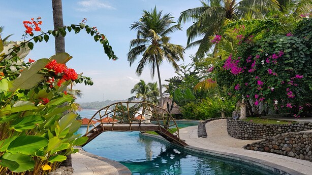 A pool area with a wooden bridge, palm trees, and tropical plants. - Puri Dajuma Beach Eco-Resort & Spa (Pekutatan)