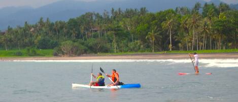 A person paddling a kayak on a calm body of water with a beach and palm trees in the background.
