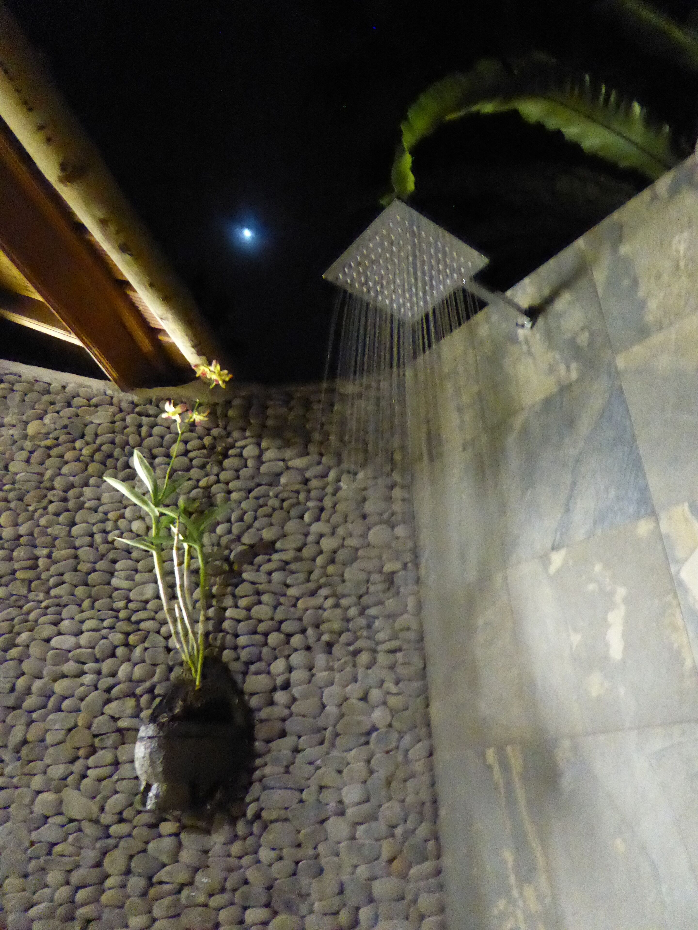 A stone-tiled area with a water feature and a plant.