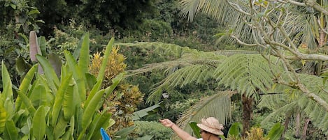 Área de juegos infantiles al aire libre