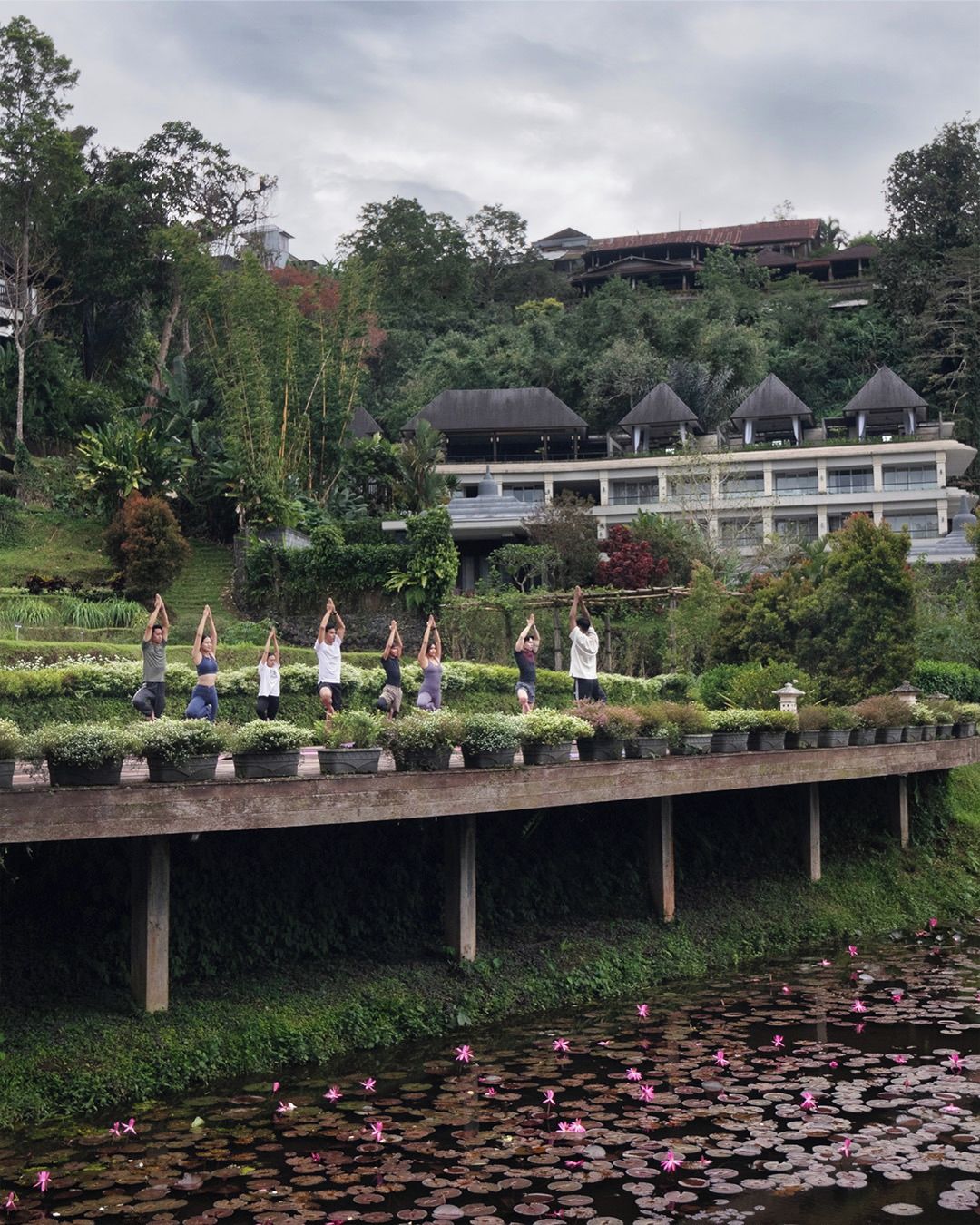 A group of people performing yoga on a wooden deck over a pond with lily pads and lotus flowers.