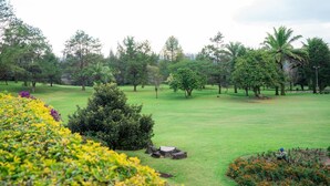 Un campo de golf con césped cuidado, varios árboles y un pequeño grupo de arbustos al frente.