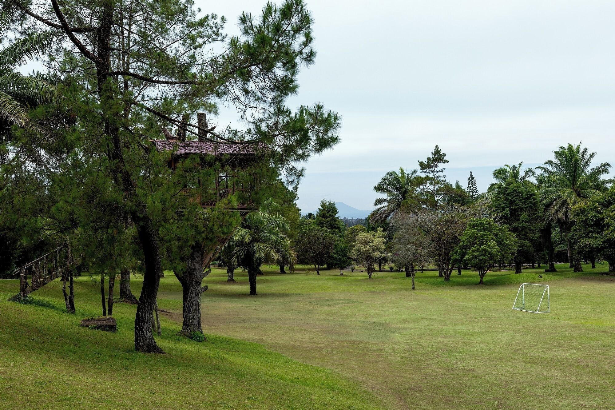 A grassy field with trees and a wooden structure.