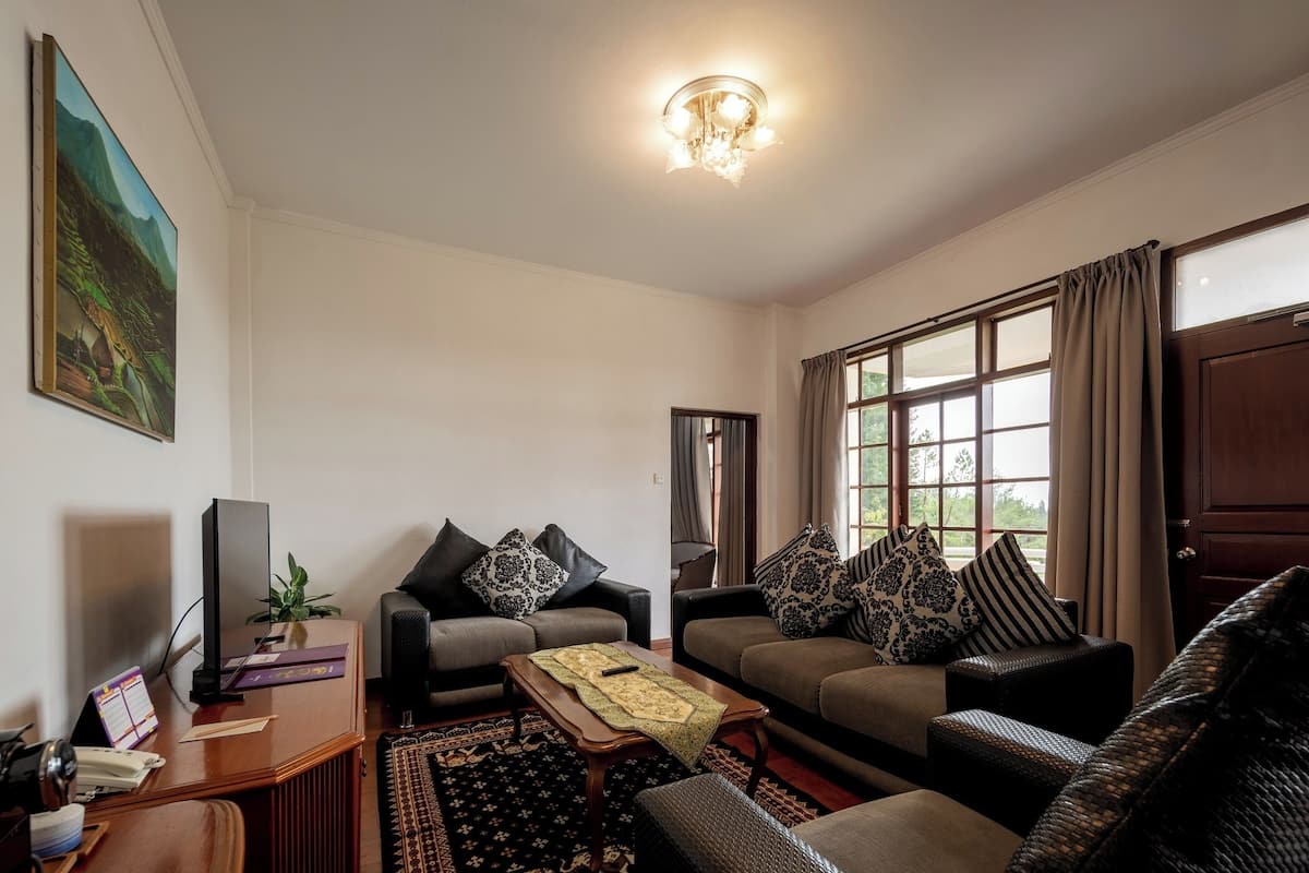 President Suite | Living area | 32-inch TV with satellite channels, table tennis