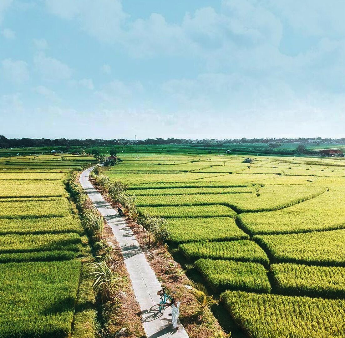 A pathway through terraced rice fields with a bicycle and a person walking.