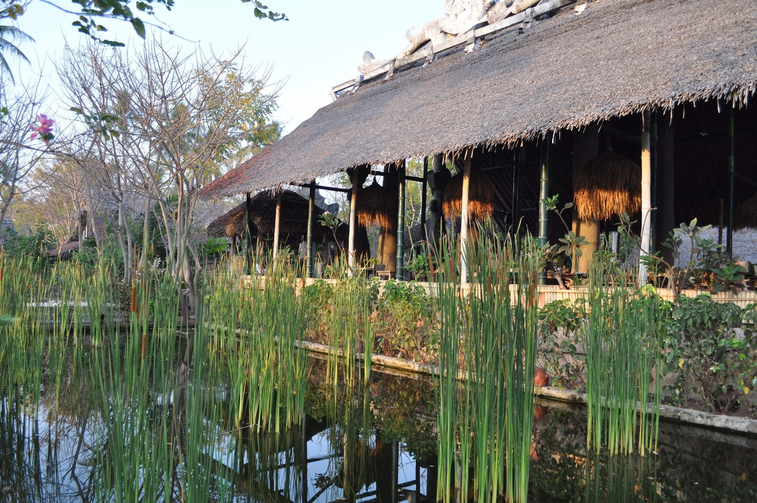 breakfast, lunch and dinner served