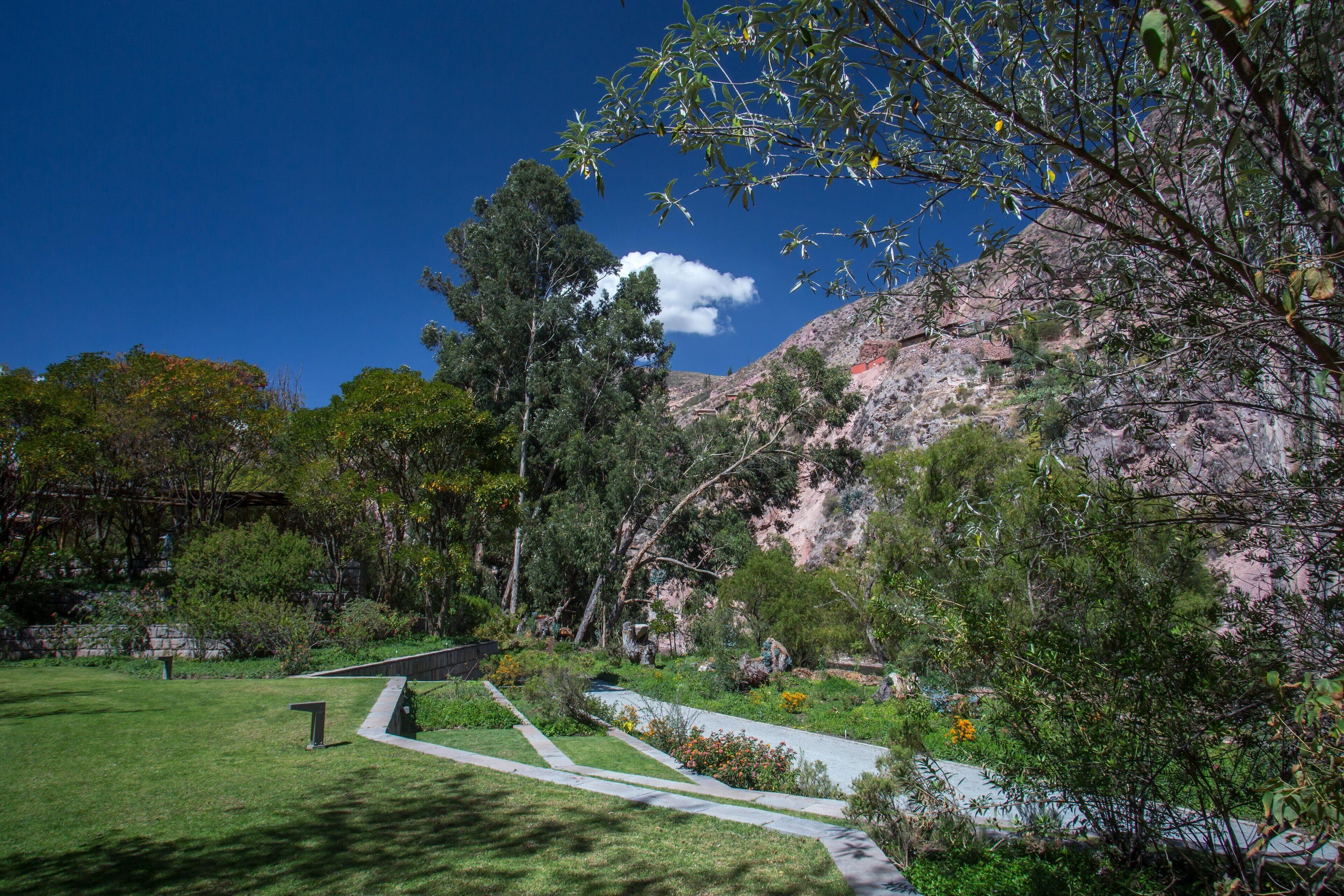 Un parque con senderos, árboles y montañas al fondo.