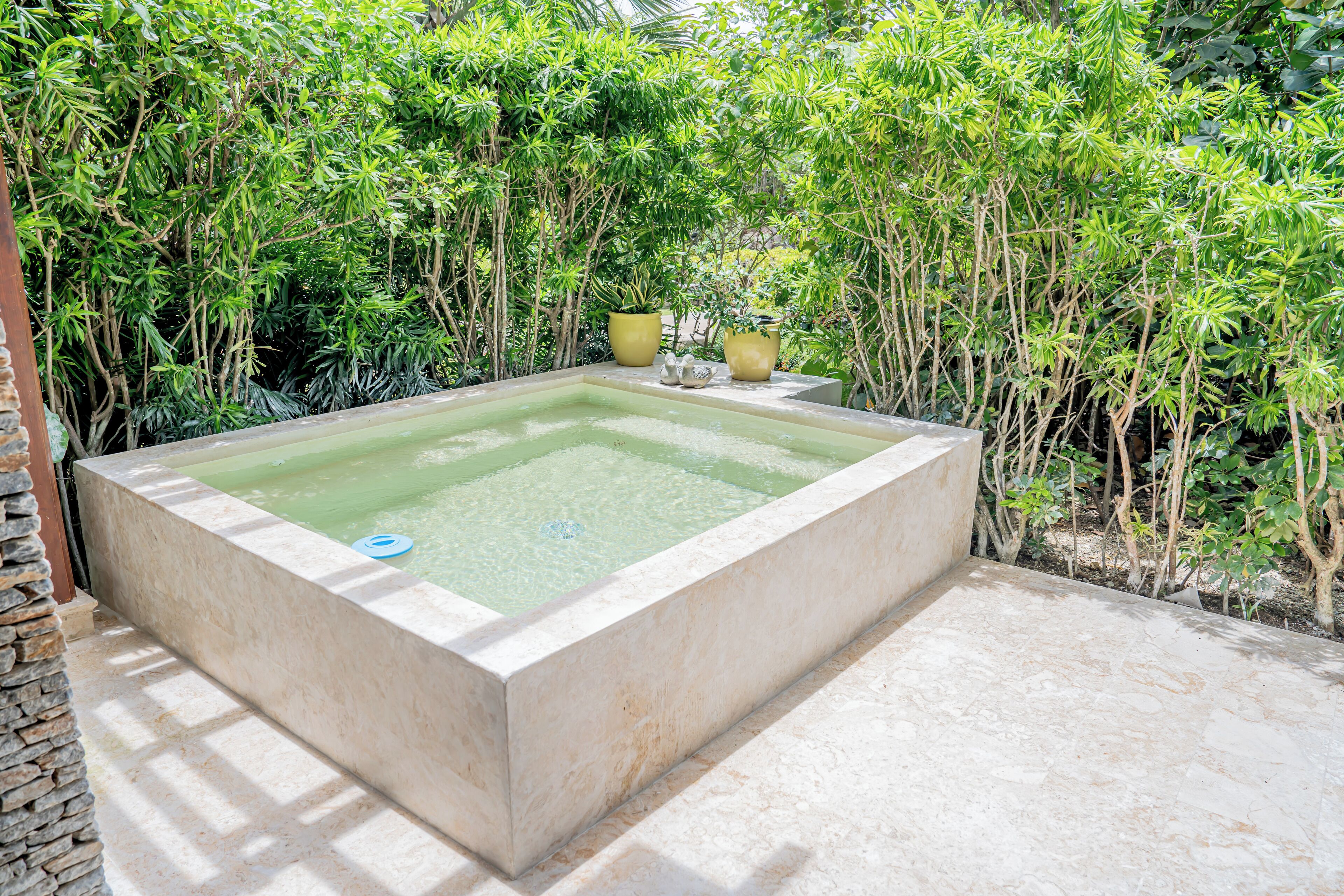 Una piscina rectangular con borde de piedra, rodeada de abundante vegetación y plantas en macetas.