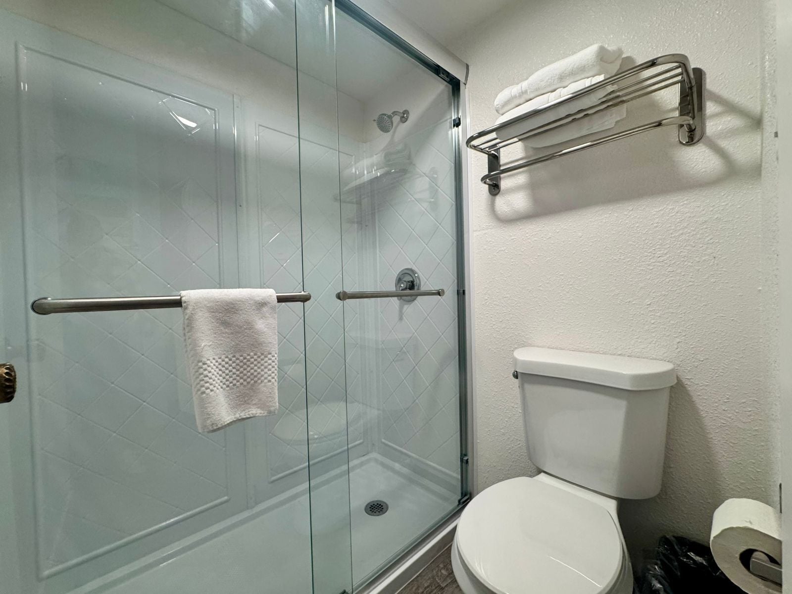A bathroom with a glass-enclosed shower, a white toilet, and a towel rack.