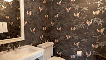 A bathroom with a sink, toilet, and mirror. The walls are decorated with a floral wallpaper featuring birds.
