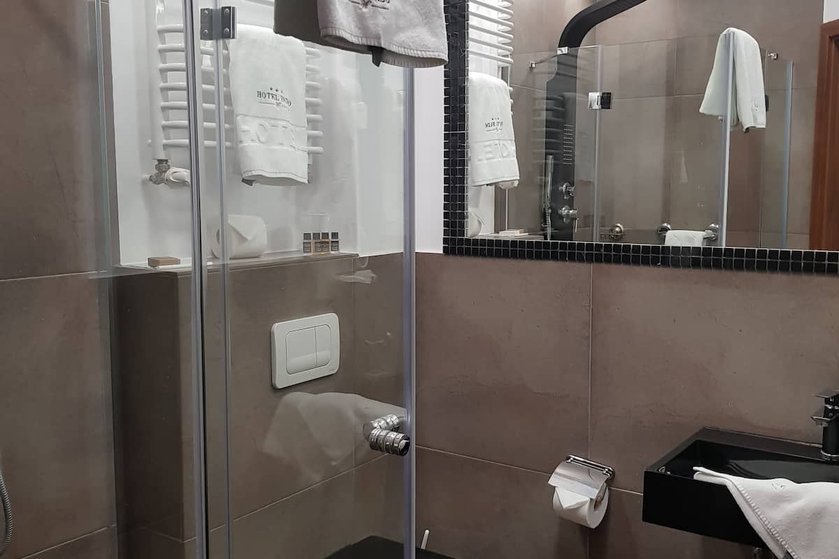 single room | bathroom | shower, hair dryer, towels