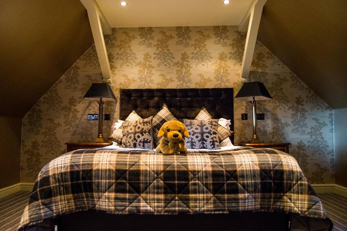 A bedroom with a large bed, a headboard, two bedside lamps, and a plush toy on the bed.
