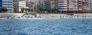 A beach with a row of blue umbrellas and a sandy shore. - Hotel Golden (Benidorm)